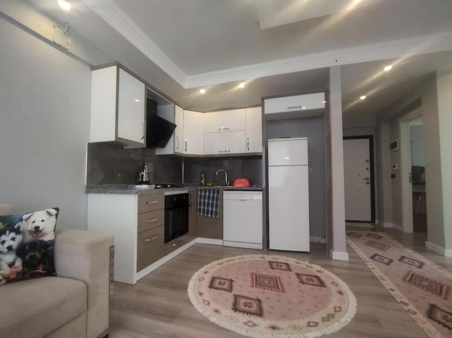 דירה Safran House